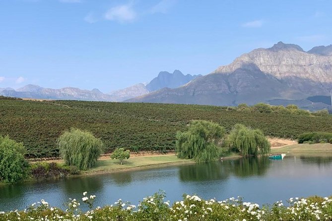 Table Mountain & Constantia Wine Tasting Full Day Tour. - Buitenverwachting, the final estate