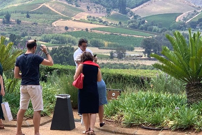 Table Mountain & Constantia Wine Tasting Full Day Tour. - Is $225.04 a fair price?