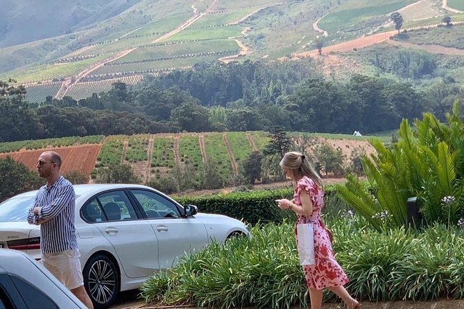 Table Mountain & Constantia Wine Tasting Full Day Tour. - Who will enjoy this day most?
