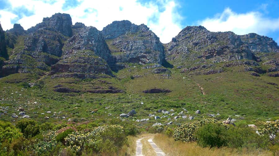 Table Mountain: Easy walk for the Whole Family - PRIVATE - Why the Pipe Track is a smart first mountain walk