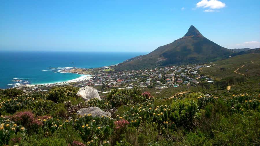 Table Mountain: Easy walk for the Whole Family - PRIVATE - The Camps Bay views that make the walk worthwhile