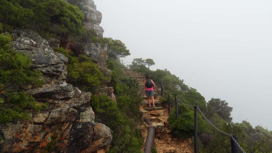 Table Mountain: Easy walk for the Whole Family - PRIVATE - Practical preparation for the three-hour outing