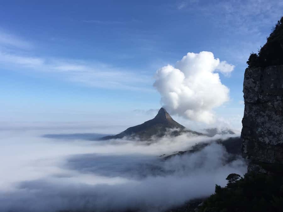 Table Mountain: Easy walk for the Whole Family - PRIVATE - Starting at Kloof Nek and finding the old water pipe