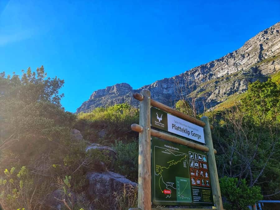 Table Mountain Group Hike - Solo Travelers welcome - Platteklip Gorge, Table Mountain’s Straight-Up Route