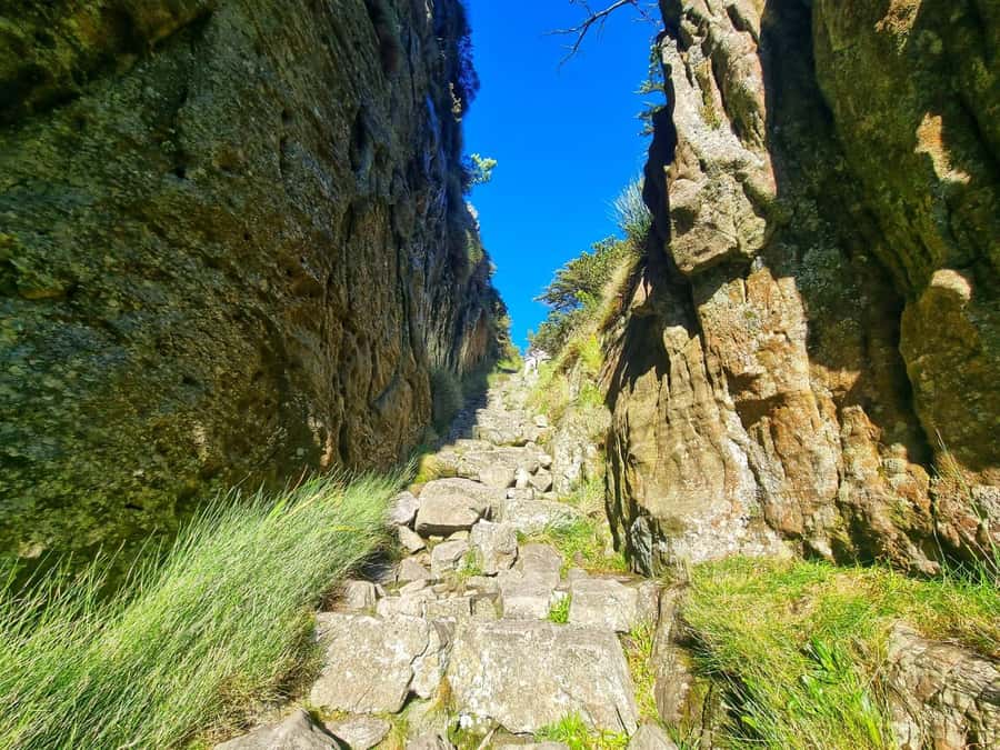 Table Mountain Group Hike - Solo Travelers welcome - What the 2.5-Hour Climb Feels Like