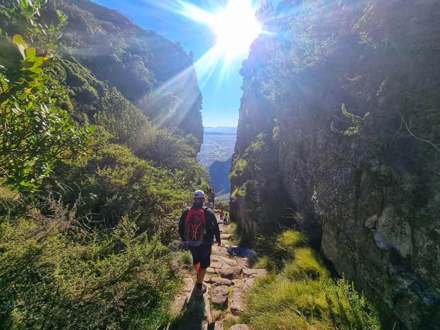 Table Mountain Group Hike - Solo Travelers welcome - The Views Open Above Cape Town