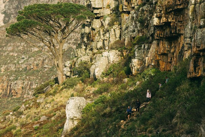 Table Mountain Guided Hike-epic adventure for all fitness levels - The views improve as you climb