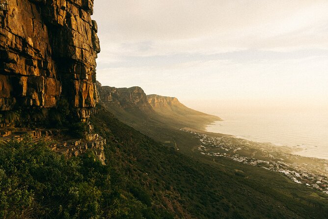 Table Mountain Guided Hike-epic adventure for all fitness levels - The walk through fynbos, forest, and rock