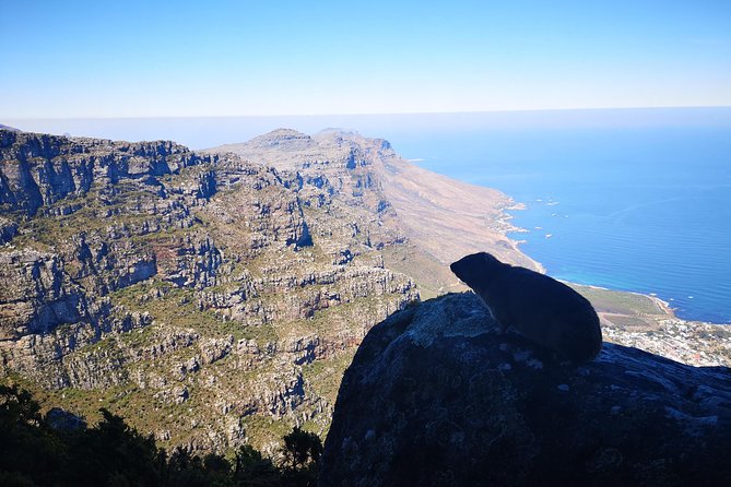 Table Mountain Half Day Hike: India Venster Trail - Who should choose India Venster?