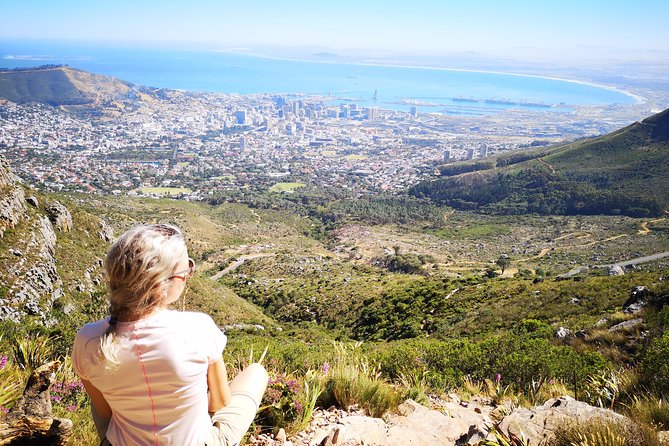 Table Mountain Half Day Hike: Platteklip Gorge - Reaching the tabletop summit