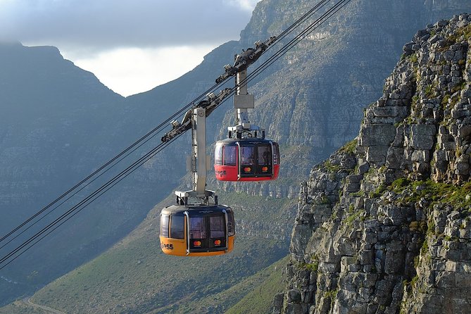 Table Mountain, Kirstenbosch and Constantia Winelands Full Day Private Tour - Wine and lunch at Groot Constantia