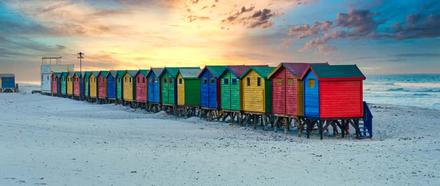 Table Mountain, Penguins & Cape of good hope full day Tour - Table Mountain sets the pace