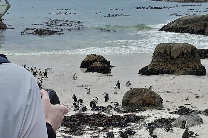 Table Mountain, Penguins & Cape of Good Hope Private Tour - A long Cape Town day with the big sights