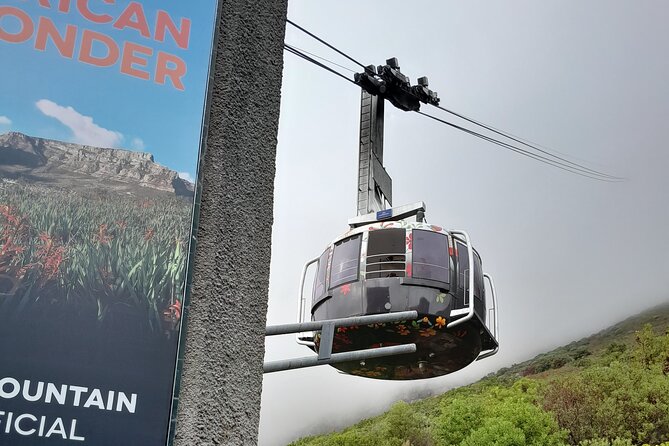 Table Mountain, Penguins & Cape of Good Hope Private Tour - Hout Bay and Chapmans Peak bring the best road scenery