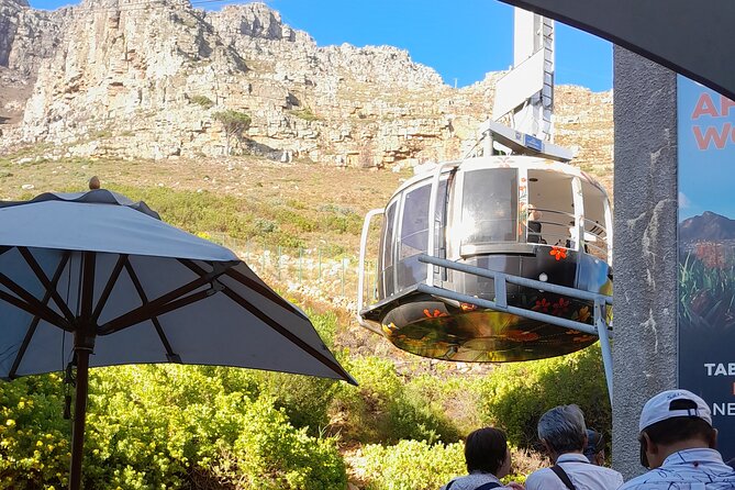 Table Mountain, Penguins & Cape of Good Hope Private Tour - Boulders Beach and the African penguins