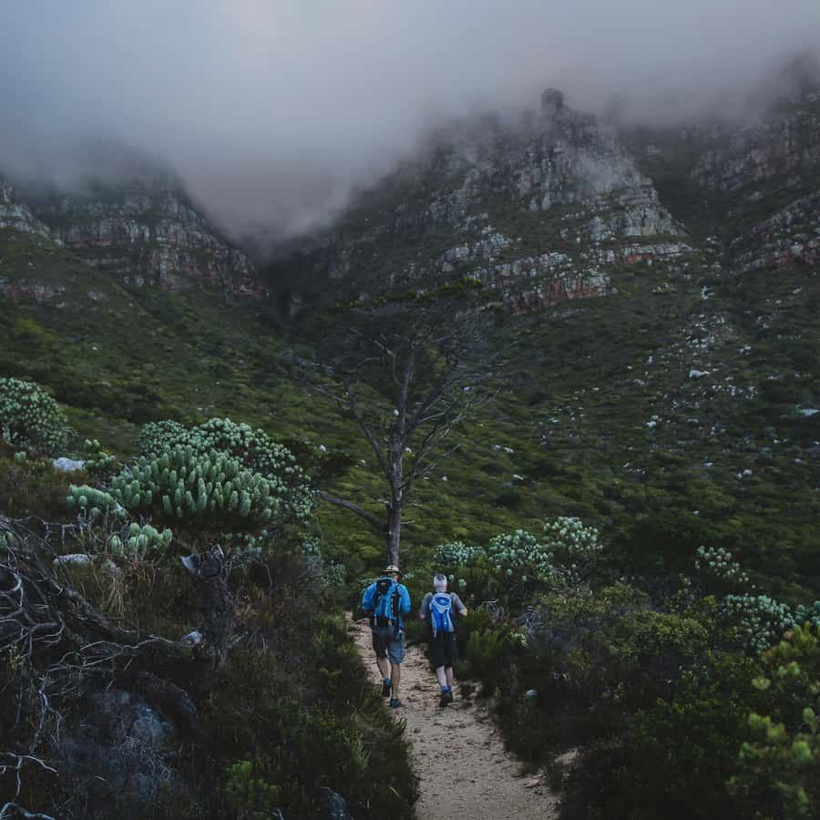 Table Mountain: Skeleton Gorge Hike - Key points to know before you go