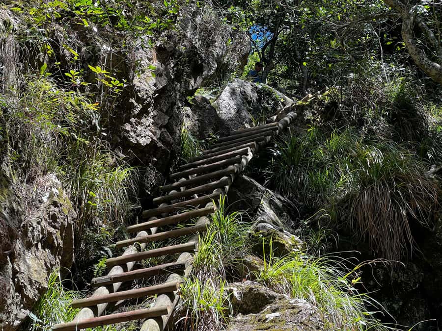 Table Mountain: Skeleton Gorge Hike - From Kirstenbosch gardens into Skeleton Gorge