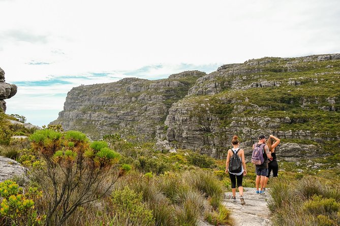 Table Mountain Summit Hike via Kasteelspoort - Practical details that shape the day
