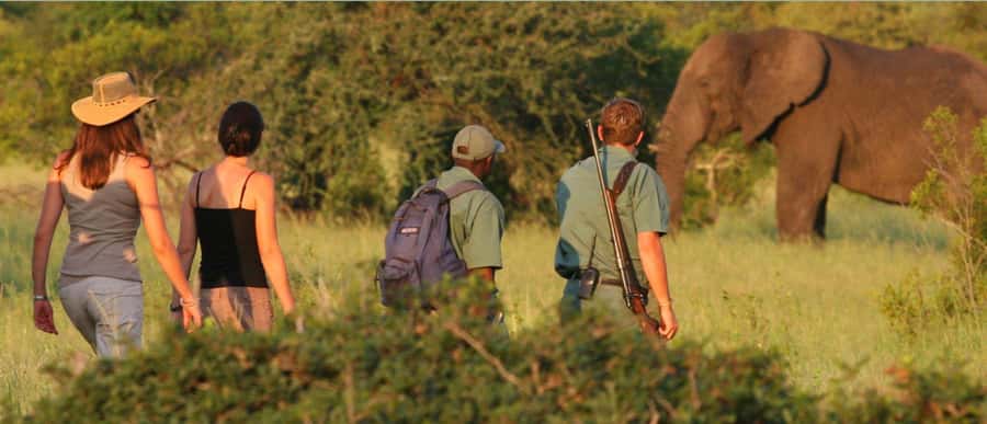 Tala Game Reserve & Natal Lion Park 1/2 Day Tour from Durban - Tala Game Reserve: two hours among KwaZulu-Natal wildlife