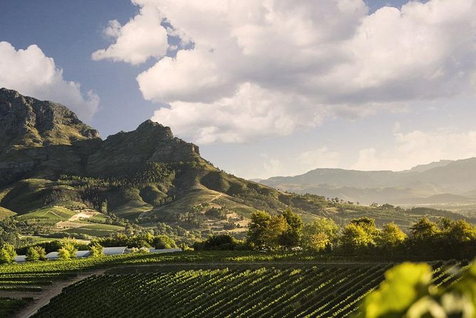 Taste + Tram the Winelands Tour: Franschhoek, Stellenbosch, Paarl - Franschhoek leaves lunch in your hands