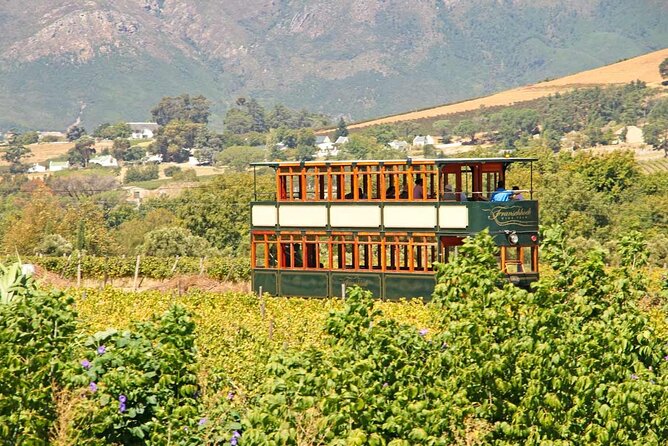 Taste + Tram the Winelands Tour: Franschhoek, Stellenbosch, Paarl - Small groups make the guide especially important