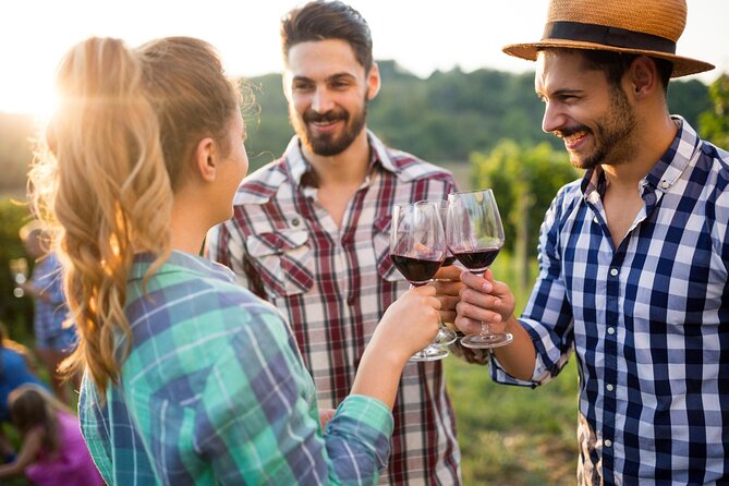 Taste + Tram the Winelands Tour: Franschhoek, Stellenbosch, Paarl - Rickety Bridge or Plaisir brings the second estate tasting
