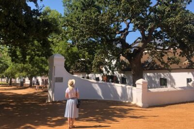 Tastes of Stellenbosch Wine Full Day Tour with Private Transfer
