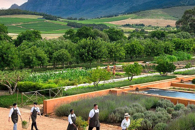 Tastes of Stellenbosch Wine Full Day Tour with Private Transfer - Lunch in Stellenbosch, with room to choose