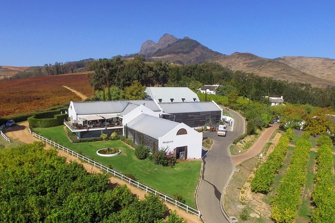 Tastes of Stellenbosch Wine Full Day Tour with Private Transfer - Who should book this Stellenbosch experience