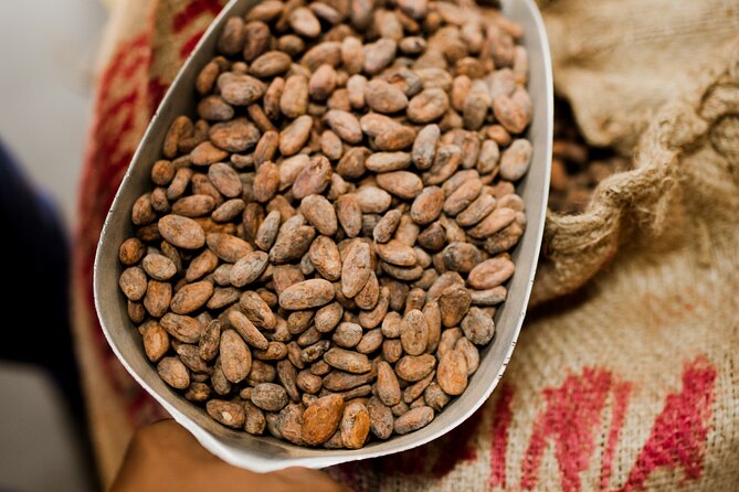 The Art of Chocolate Making Bean-To-Bar Experience in Cape Town - Practical planning for your Wednesday visit