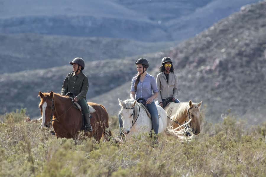 The Best Private Cape Town Safari Day Trip - Aquila Big 5 - Why Aquila works as a Cape Town safari