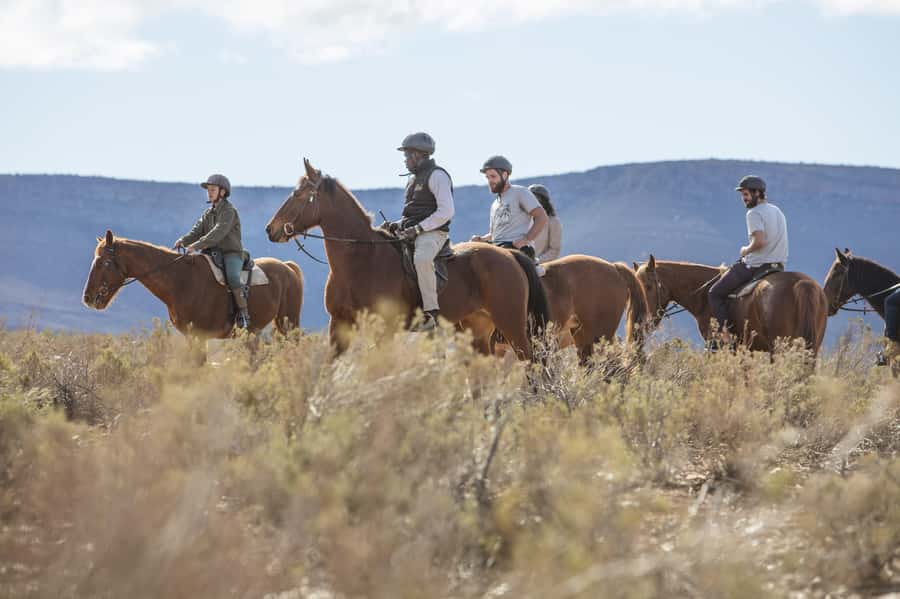 The Best Private Cape Town Safari Day Trip - Aquila Big 5 - Arrival drinks and the buffet breakfast