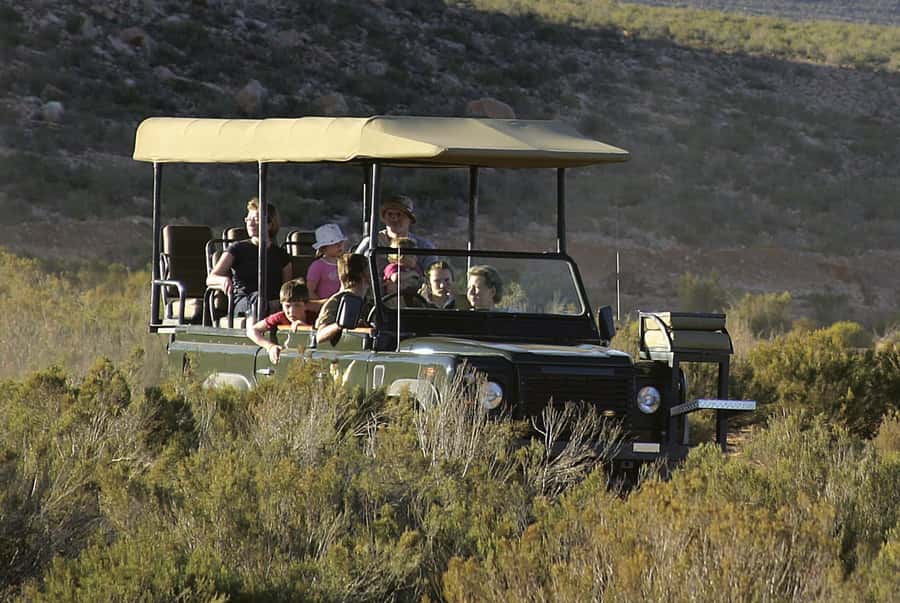 The Best Private Cape Town Safari Day Trip - Aquila Big 5 - What the $374 price really covers