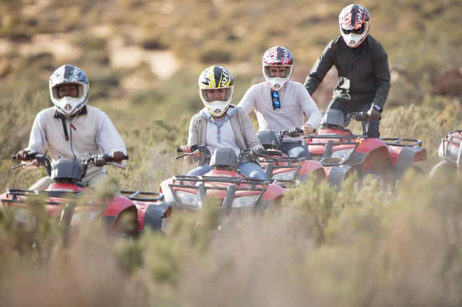 The Best Private Cape Town Safari Day Trip - Aquila Big 5 - Who will enjoy this day most