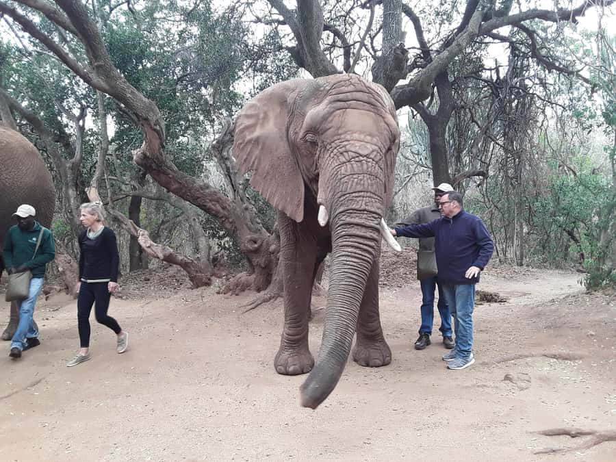 The Elephant and Monkey Sanctuary. - Key points to know before you book
