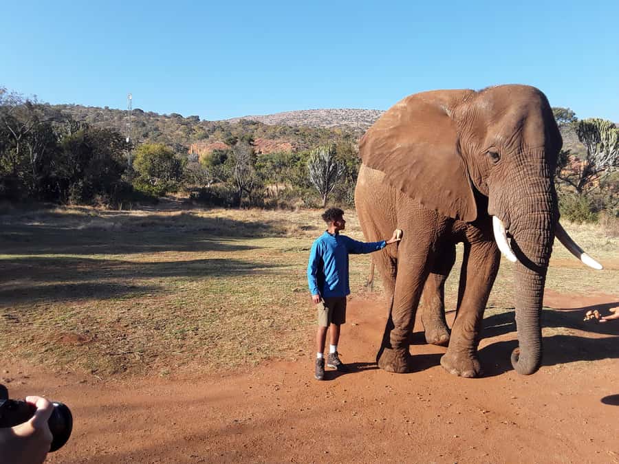 The Elephant and Monkey Sanctuary. - Should you book the Elephant and Monkey Sanctuary?
