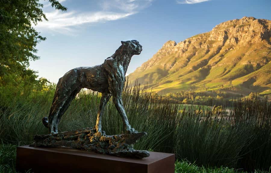 Tour the Winelands: Stellenbosch to Franschhoek - Fairview’s six-cheese tasting