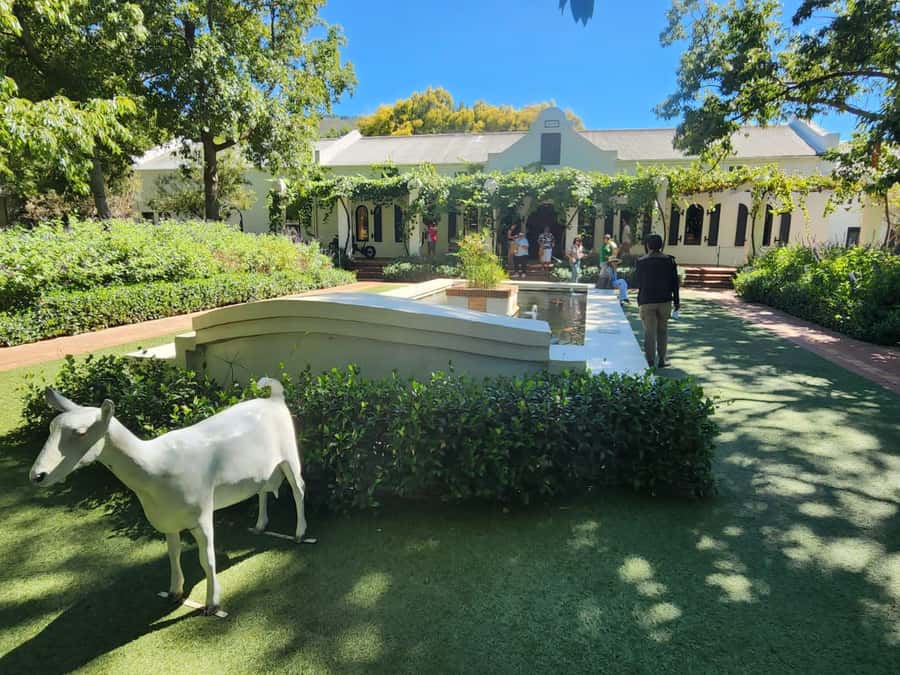 Tour the Winelands: Stellenbosch to Franschhoek - Tokara, wine technique, and mountain views