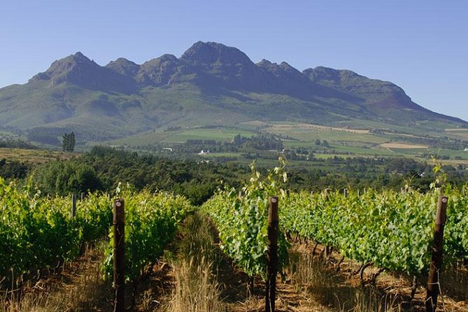 Unique Stellenbosch Winelands Tour with optional 4x4 Wine Drive - Timing, clothing, and the small details that matter
