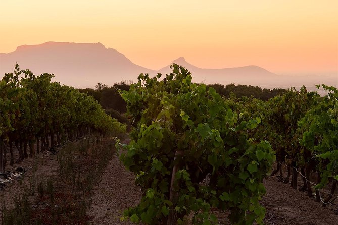 Unique Stellenbosch Winelands Tour with optional 4x4 Wine Drive - Who will enjoy this private wine tour most