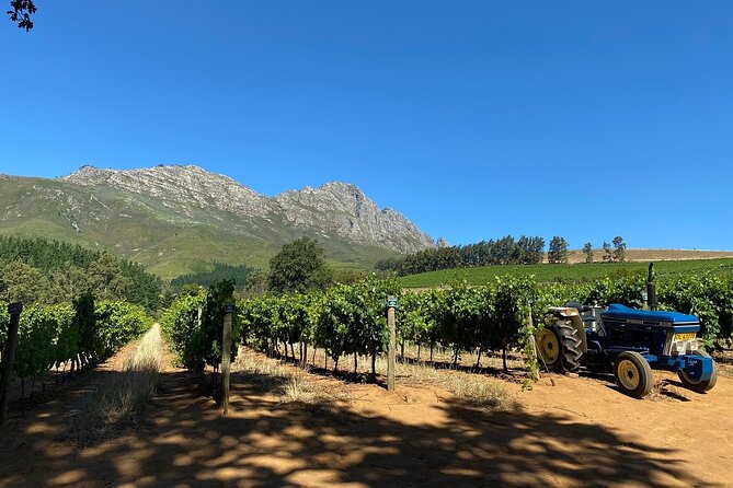 Vine Hopper: Hop-On Hop-Off Wine Tour - Northern Route - Six wineries, one designated driver