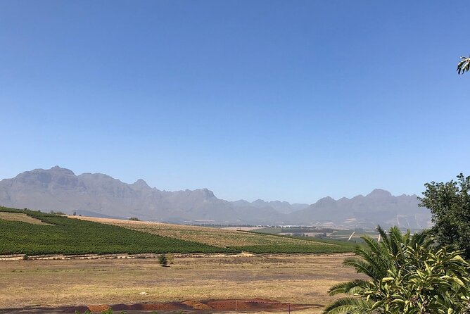 Vine Hopper: Hop-On Hop-Off Wine Tour - Northern Route - Bergkelder and the value of pacing