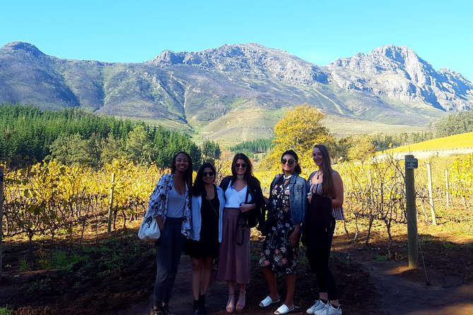 Vine Hopper: Hop-On Hop-Off Wine Tour - Northern Route - Simonsig for a lively first tasting