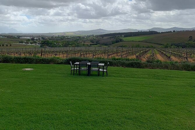 Vine Hopper: Hop-On Hop-Off Wine Tour - Southern Route - Why the Southern Route works so well