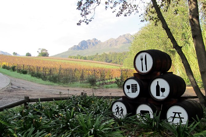 Vine Hopper: Hop-On Hop-Off Wine Tour - Southern Route - Who should book this experience