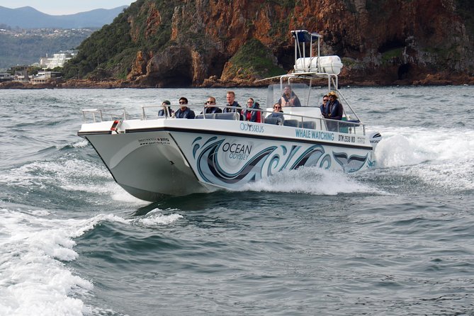 Whale Watching Knysna - Close Encounter Experience Ocean Odyssey - Prepare for cold air and motion