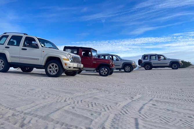 WildX Adventures Jeep 4x4 White Sand Dunes in Cape Town Atlantis - Starting at Witzands Aquifer Nature Reserve