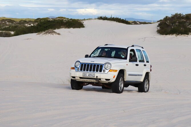 WildX Adventures Jeep 4x4 White Sand Dunes in Cape Town Atlantis - The Jeep Is the Main Advantage