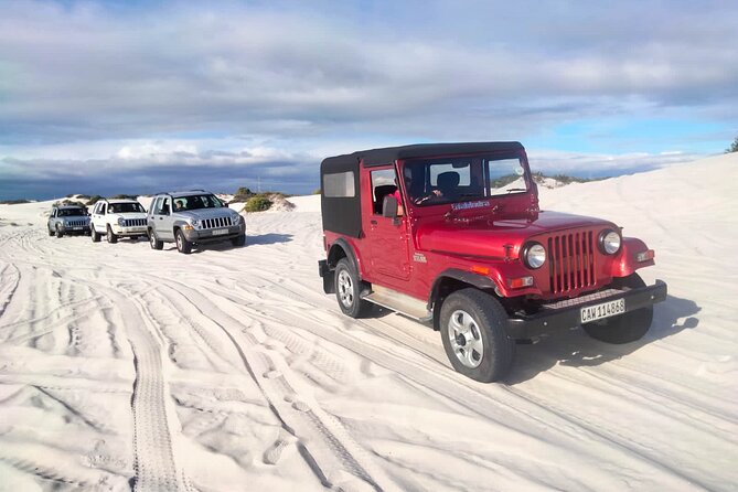 WildX Adventures Jeep 4x4 White Sand Dunes in Cape Town Atlantis - Guides Add Safety and Local Direction