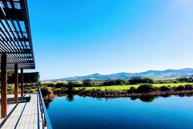 Wine tasting - Boutique farms - Food pairings, brunch, and the lunch question